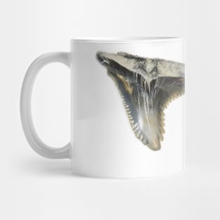 Two Shark Teeth Fossil Print Mug